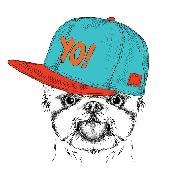 L'affiche avec l'image portrait de chien en chapeau hip-hop. Yorkshire Terrier. Illustration vectorielle . — Image vectorielle