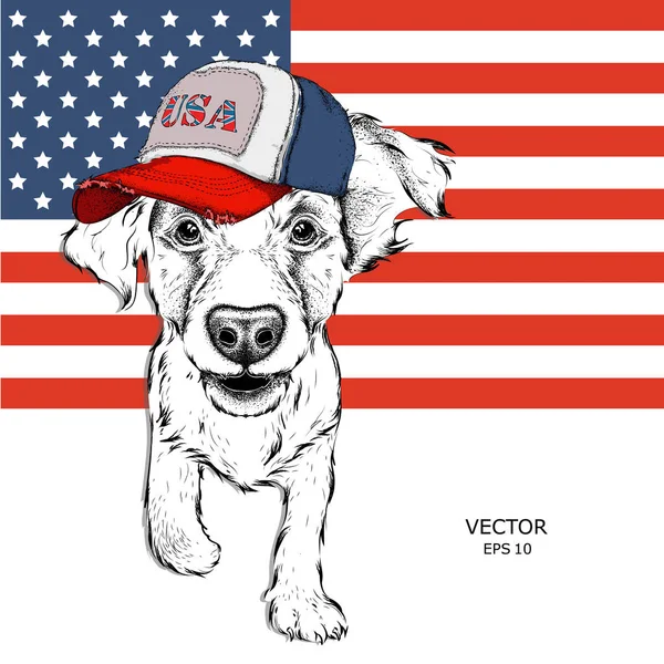在美国的帽可卡犬。美国国旗为背景的小狗。矢量图 — 图库矢量图片