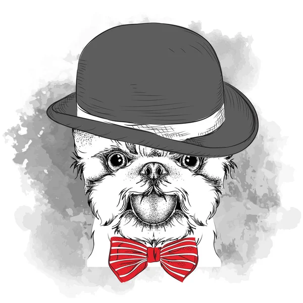 Εικόνα πορτρέτο του σκύλου στο καπέλο, γυαλιά και λαιμοδέτης. Τεριέ του Γιορκσάιρ. Εικονογράφηση διάνυσμα. — Διανυσματικό Αρχείο