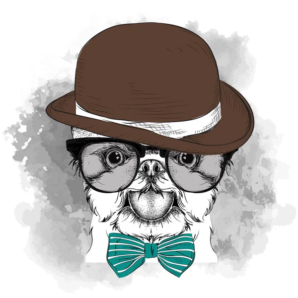 Image Portrait of dog in the hat, cravat and glasses. Yorkshire Terrier. Vector illustration. — Stock Vector