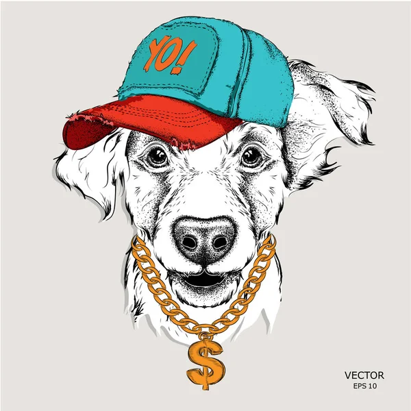 El póster con la imagen retrato de perro en el sombrero de hip-hop. Ilustración vectorial . — Archivo Imágenes Vectoriales