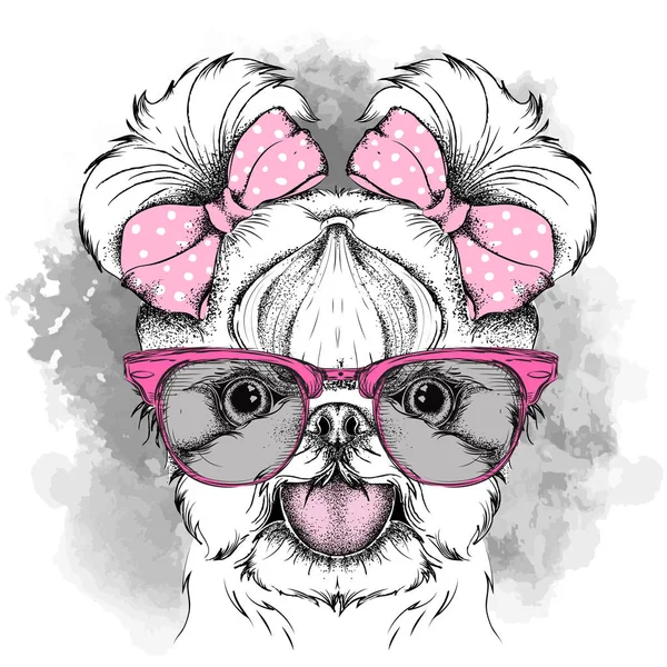 Meisje pup met schattige bogen. Yorkshire Terrier. Vectorillustratie — Stockvector