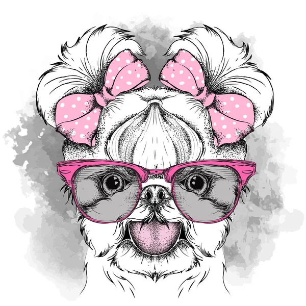 Girl puppy with cute bows. Yorkshire Terrier. Vector illustration Royalty Free Stock Illustrations