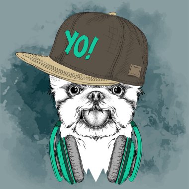 Poster ile görüntü köpek portre hip-hop şapkalı. Vektör çizim.