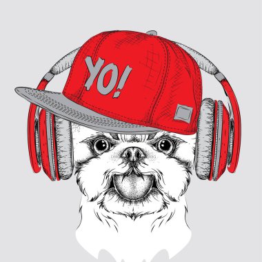 Poster ile görüntü köpek portre hip-hop şapkalı. Vektör çizim.