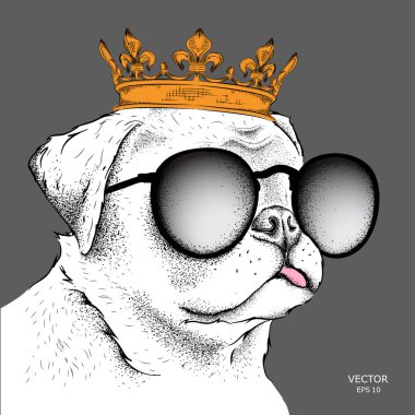 El taç görüntü portre Cocker çizin. Baskı, poster, tişört için kullanın. El çizmek vektör çizim