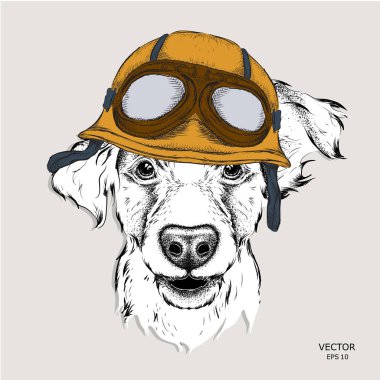 Motosiklet kaskı takıyor köpek portresi ile poster. Vektör çizim.