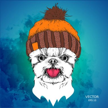 Poster kış şapka görüntü köpek portre ile. Vektör çizim.