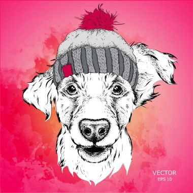Poster kış şapka görüntü köpek portre ile. Vektör çizim.