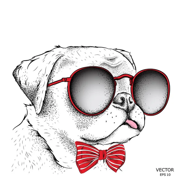 Εικόνα πορτρέτο σκυλί το cravat και με γυαλιά. Εικονογράφηση διάνυσμα. — Διανυσματικό Αρχείο