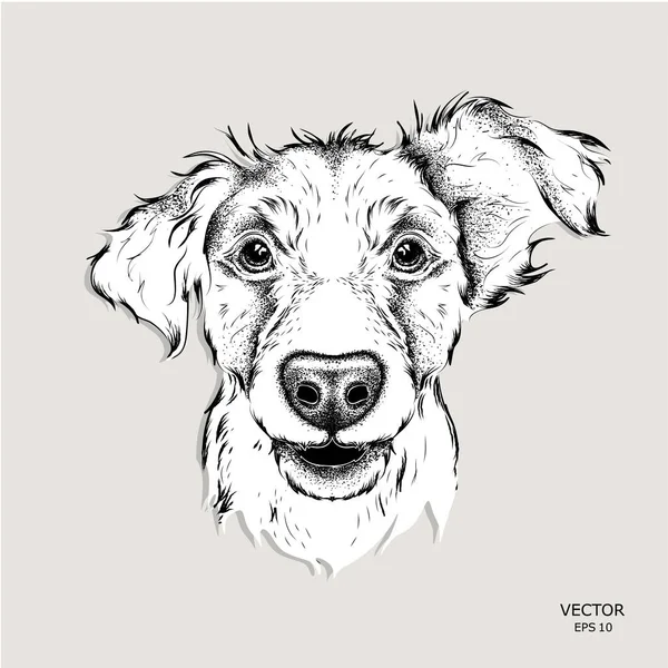 El yavru horoz İspanyol portre çizmek. El çizmek vektör çizim