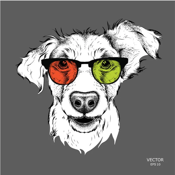 Retrato do pug nos óculos coloridos. Ilustração vetorial . —  Vetores de Stock