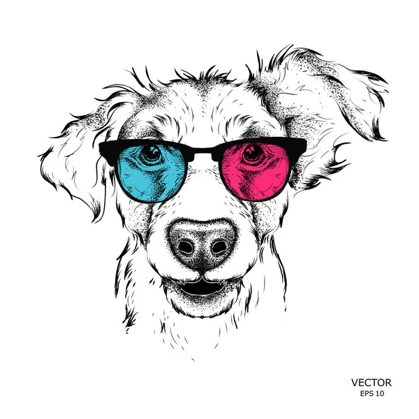 Retrato do pug nos óculos coloridos. Ilustração vetorial . —  Vetores de Stock