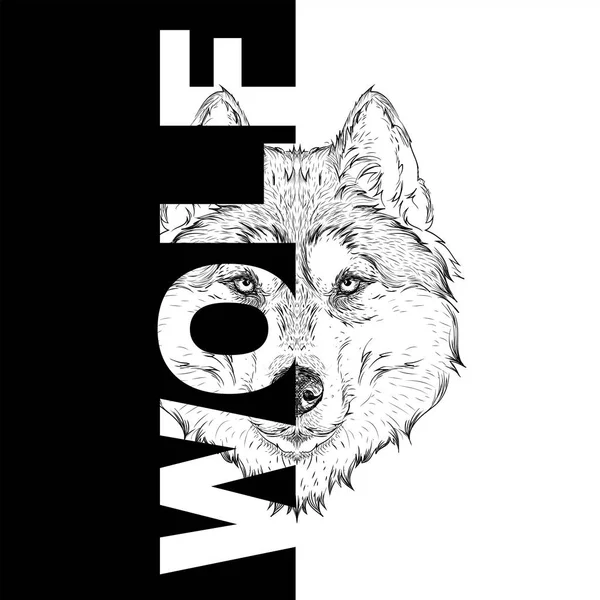 Desenho à mão retrato lobo. Pode ser usado para o projeto de saco, cartão postal e cartaz. Ilustração vetorial — Vetor de Stock