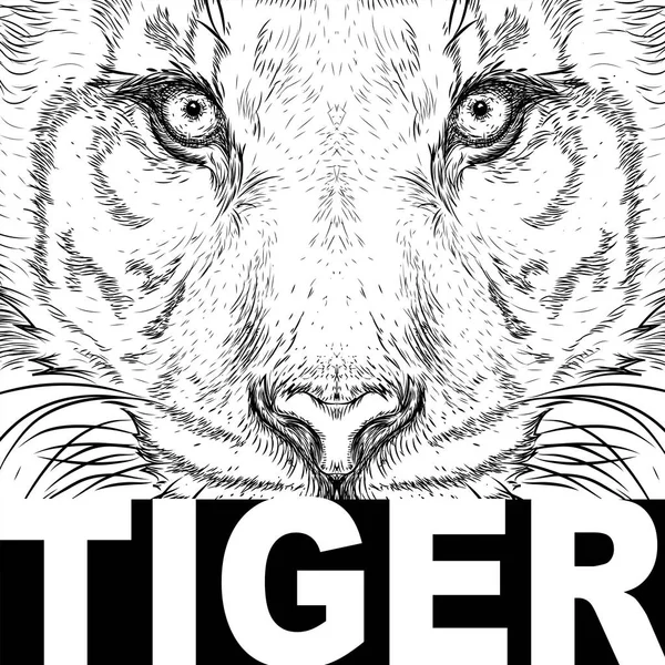 Hand draw tiger portrait. Hand draw vector illustration — Stock Vector