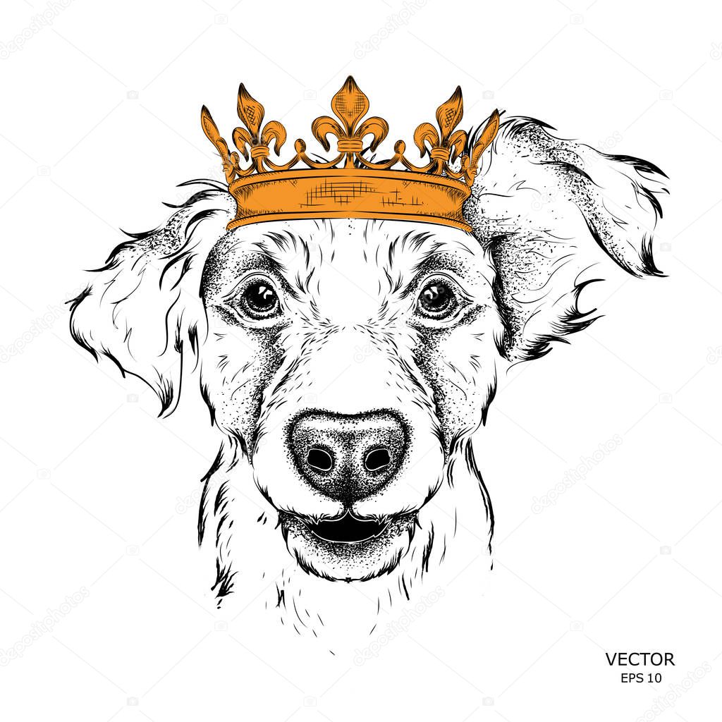 Hand draw Image Portrait of Cocker in the crown. Use for print, posters, t-shirts. Hand draw vector illustration