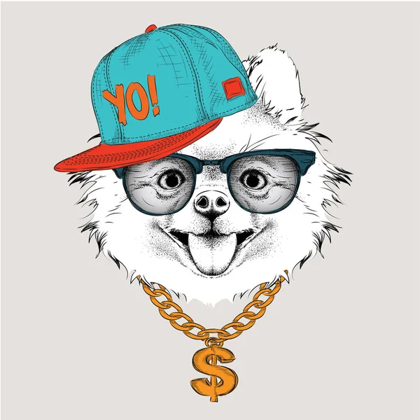 El póster con la imagen retrato de perro en el sombrero de hip-hop. Ilustración vectorial de chihuahua — Vector de stock