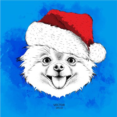 Santa Claus şapka ishal içinde yeni yıl arka plan köpek. Chihuahua vektör çizim
