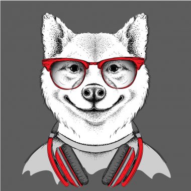 Gözlük ve kulaklık köpek. Vektör çizim.