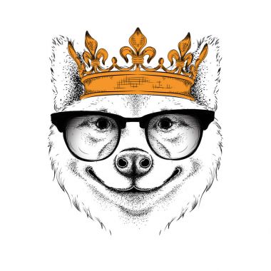 Ele taç akita Inu köpek portresi resim çekin. Baskı, poster, tişört için kullanın. El çizmek vektör çizim