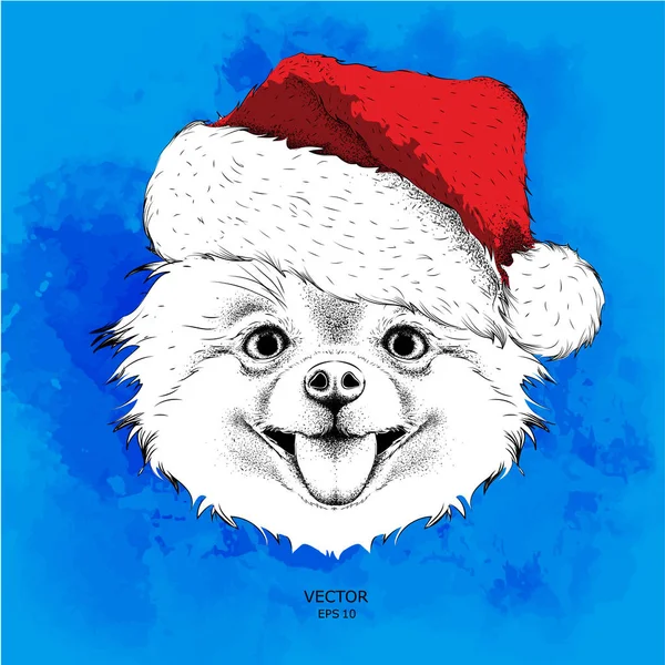 Santa Claus şapka ishal içinde yeni yıl arka plan köpek. Chihuahua vektör çizim