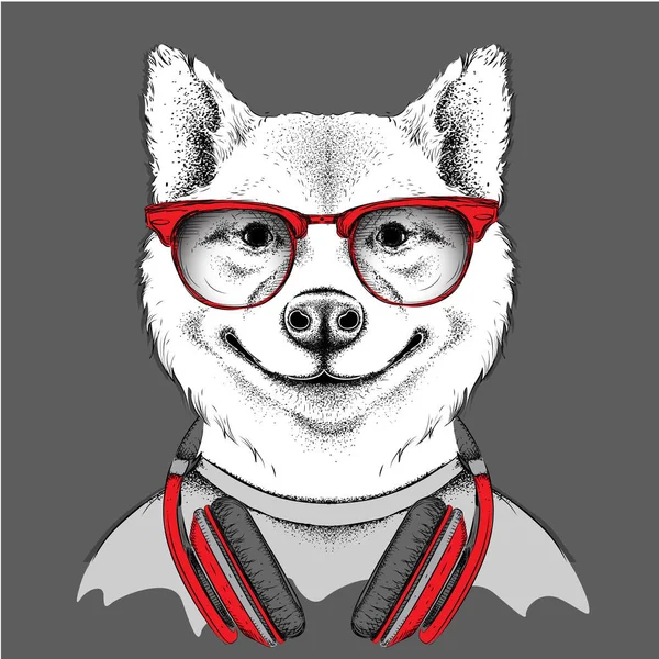 Perro con gafas y auriculares. Ilustración vectorial . — Archivo Imágenes Vectoriales