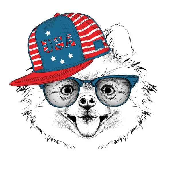 Illustration de chihuahua dans les lunettes, écouteurs et chapeau hip-hop avec l'impression des États-Unis. Illustration vectorielle . — Image vectorielle