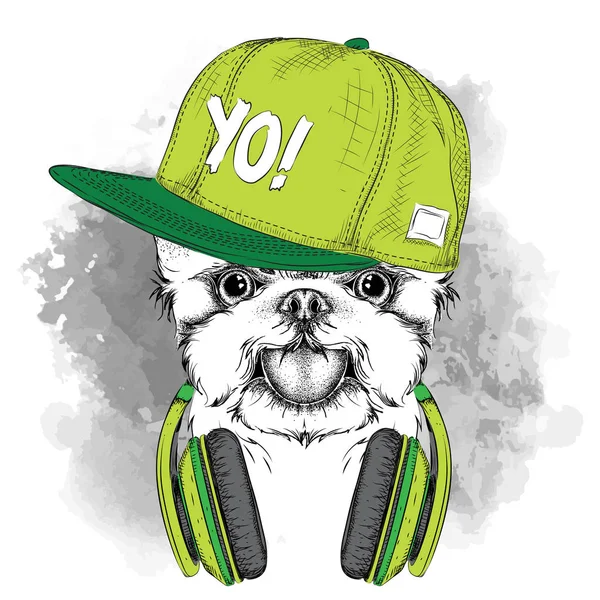 The poster with the image dog portrait in hip-hop hat. Vector illustration. — Stock Vector