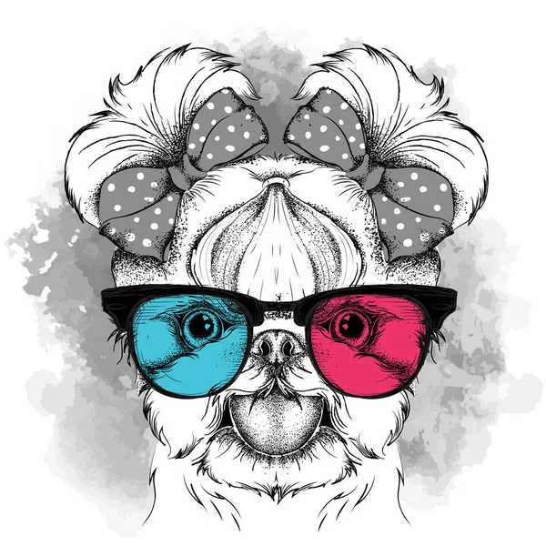 Filhote de cachorro menina com arcos bonitos e nos óculos coloridos. Yorkshire Terrier. Ilustração vetorial —  Vetores de Stock