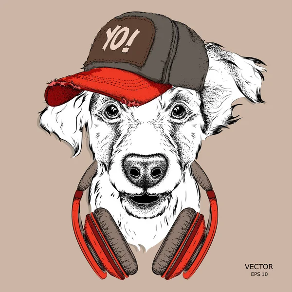 Perro con gafas y auriculares. Ilustración vectorial . — Vector de stock