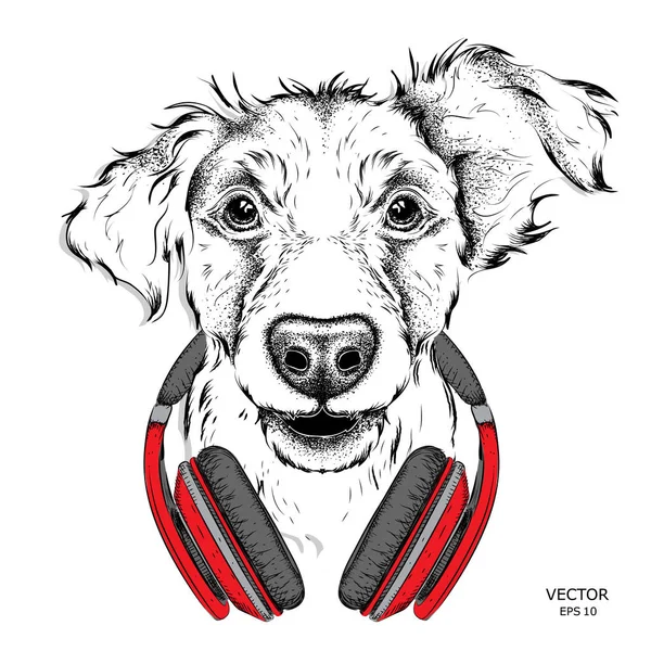 Hond in glazen en hoofdtelefoons. Vectorillustratie. — Stockvector