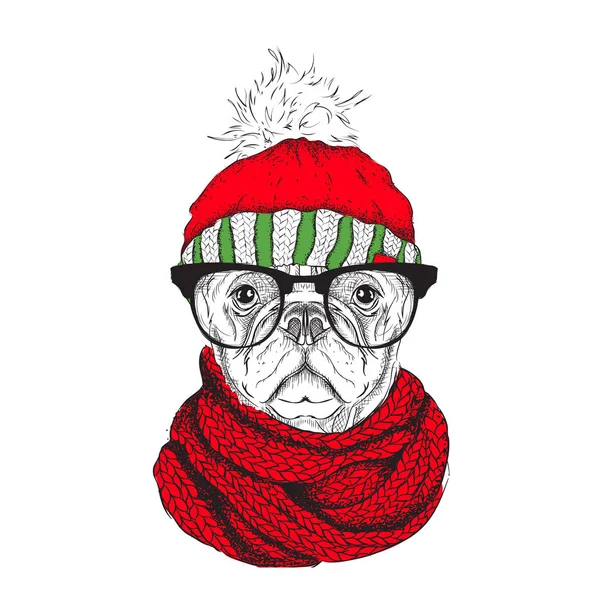 El cartel de Navidad con la imagen retrato de perro en sombrero de invierno. Ilustración vectorial . — Vector de stock
