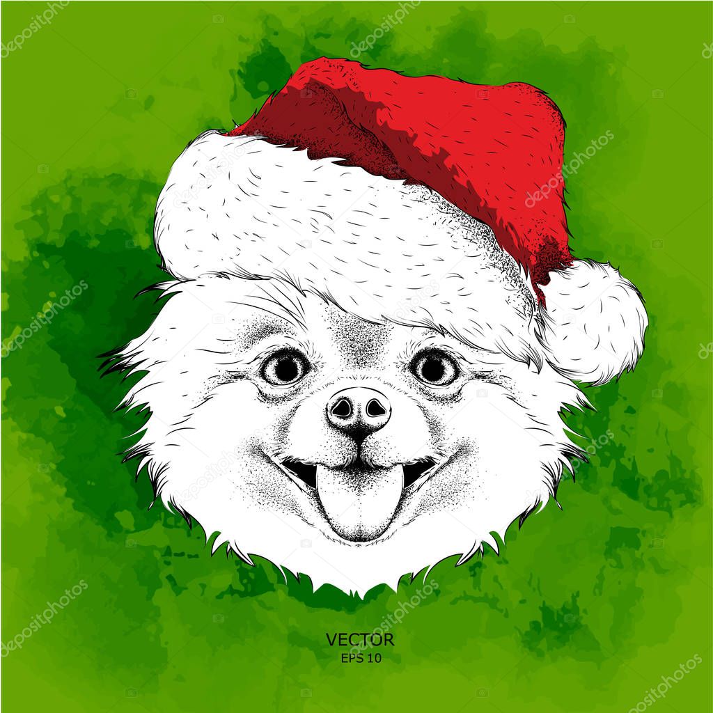 Dog in Santa Claus hat runs New Year's background. Vector illustration of chihuahua
