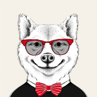 Görüntü portre akita Inu köpek kravat ve gözlüklü. Vektör çizim.