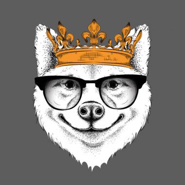 Ele taç akita Inu köpek portresi resim çekin. Baskı, poster, tişört için kullanın. El çizmek vektör çizim