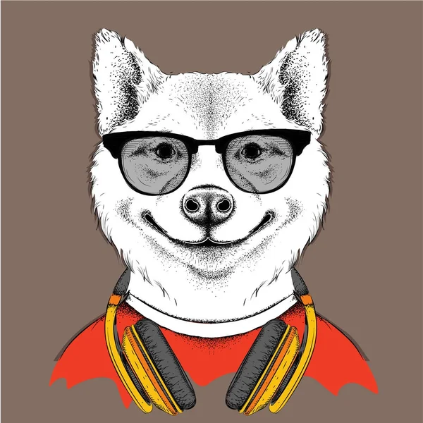 Cão de óculos e auscultadores. Ilustração vetorial . — Vetor de Stock