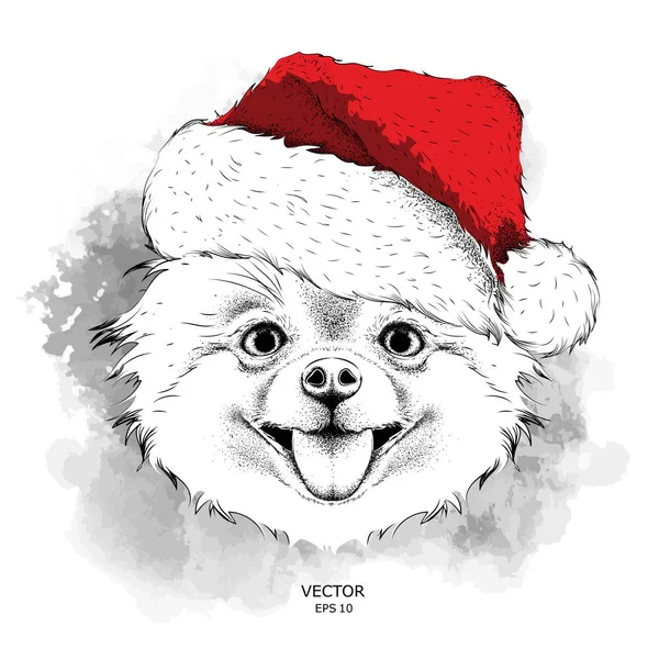 Hond in Kerstman hoed runs New Year's achtergrond. Vectorillustratie van chihuahua — Stockvector