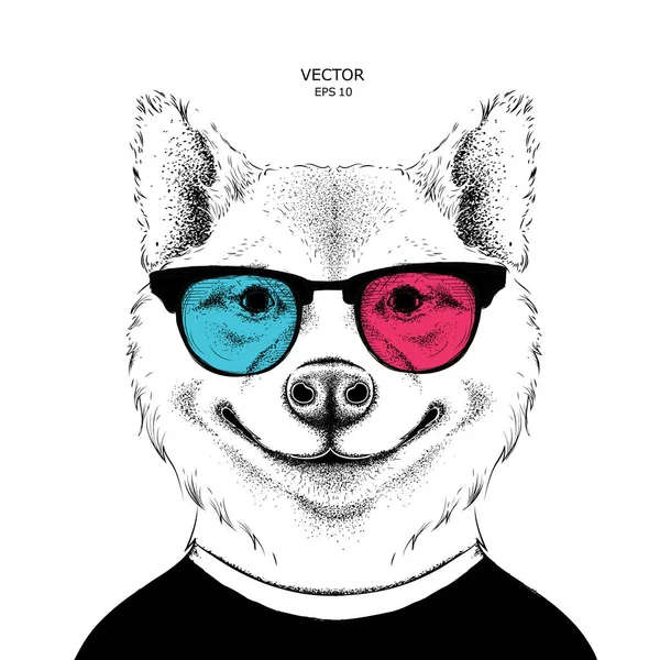 Retrato do cão sakita inu nos óculos coloridos. Ilustração vetorial do cão — Vetor de Stock