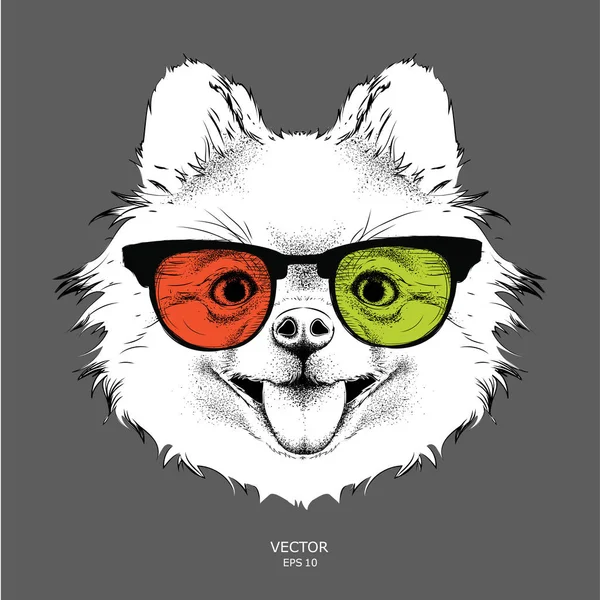 A chihuahua, a színes szemüveg portréja. Vektoros illusztráció a kutya — Stock Vector