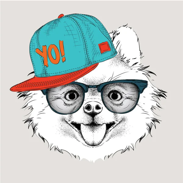 L'affiche avec l'image portrait de chien en chapeau hip-hop. Illustration vectorielle du chihuahua — Image vectorielle