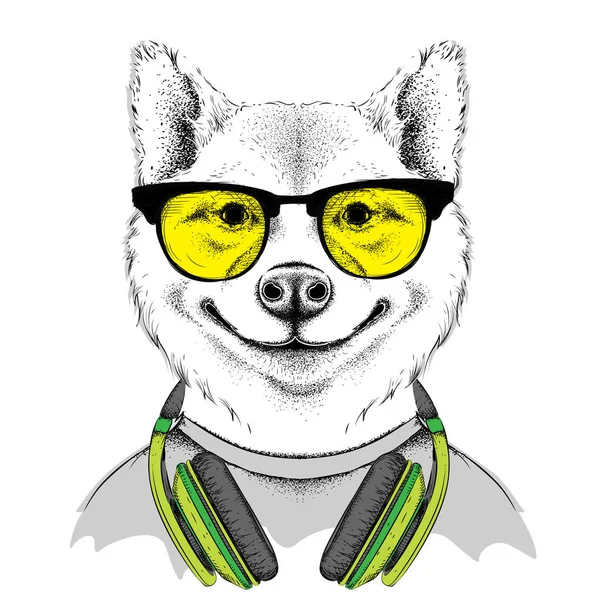 Собака в очках и наушниках. Векторная иллюстрация . — стоковый вектор