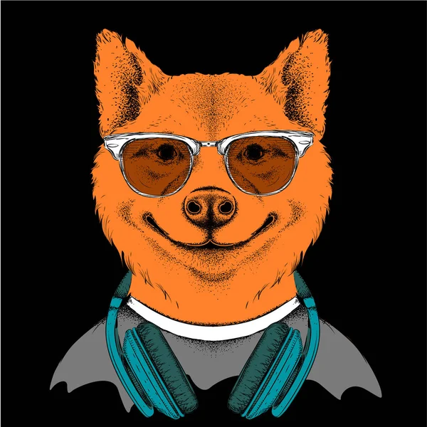 Gözlük ve kulaklık köpek. Vektör çizim.