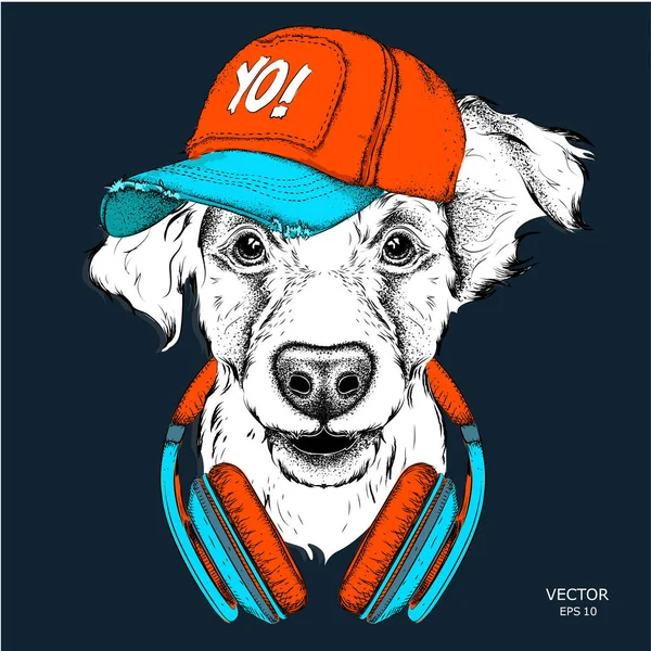 Köpek bardaklarda, kulaklık ve hip-hop şapkalı görüntüsü. Vektör çizim.