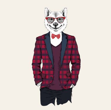 Ceket, pantolon ve kazak fox hipster resmi giyinmiş. Vektör çizim