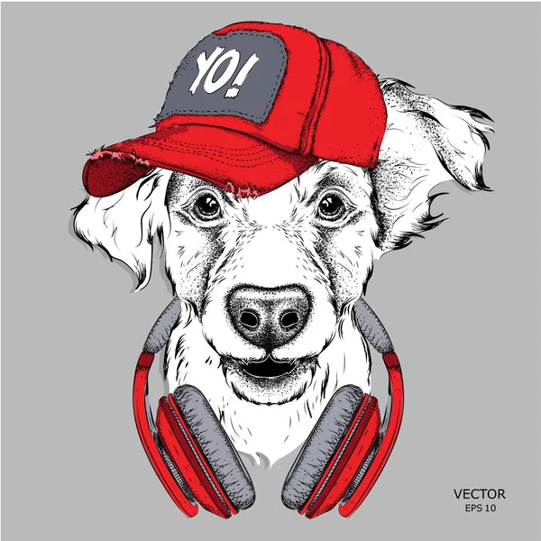 Het beeld van de hond in de glazen, hoofdtelefoons en hip-hop hoed. Vectorillustratie. — Stockvector