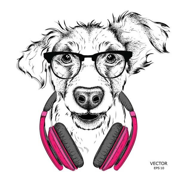 Hond in glazen en hoofdtelefoons. Vectorillustratie. — Stockvector