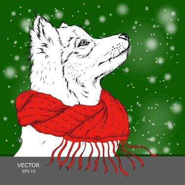 Noel poster kış Fularlı köpek portre ile. Vektör çizim.