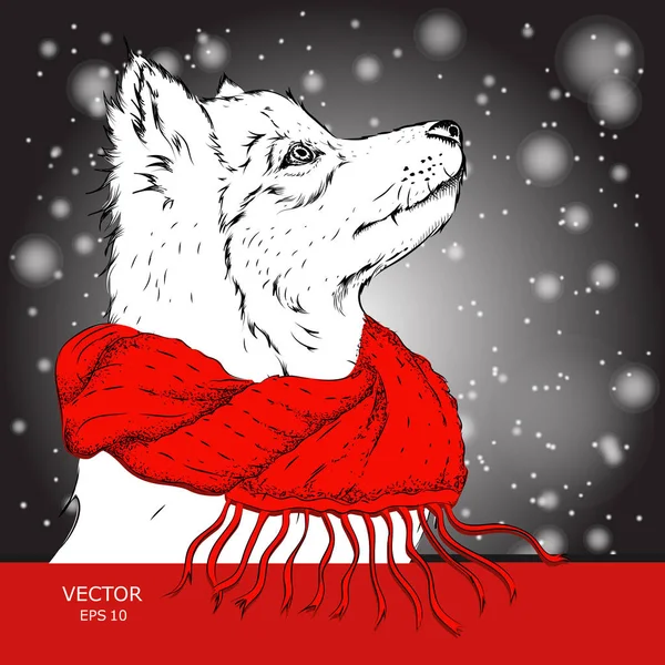 El cartel de Navidad con el retrato de perro en la bufanda de invierno. Ilustración vectorial . — Archivo Imágenes Vectoriales