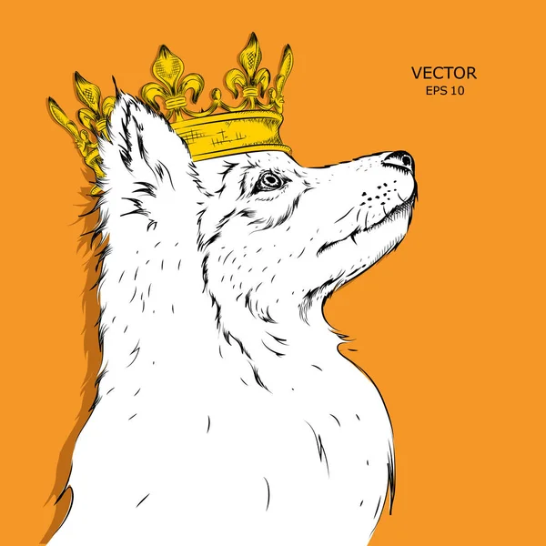 Imagem desenhada à mão Retrato de cão na coroa. Use para impressão, cartazes, camisetas. Ilustração vetorial . — Vetor de Stock