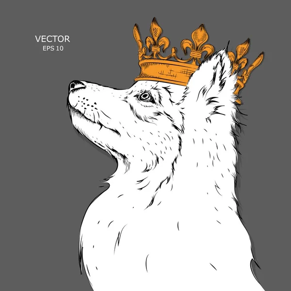 Hand drawn Image Portrait of dog in the crown. Use for print, posters, t-shirts. Vector illustration.Hand drawn Image Portrait of dog in the crown. Use for print, posters, t-shirts. Vector illustration. — Stock Vector